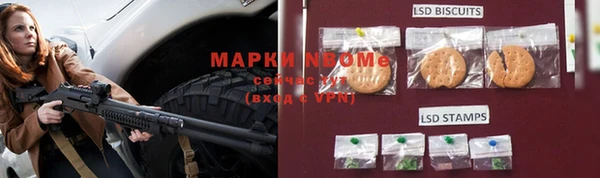 молекула духа Гусиноозёрск
