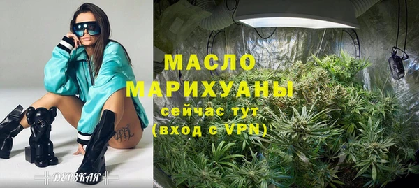 молекула духа Гусиноозёрск