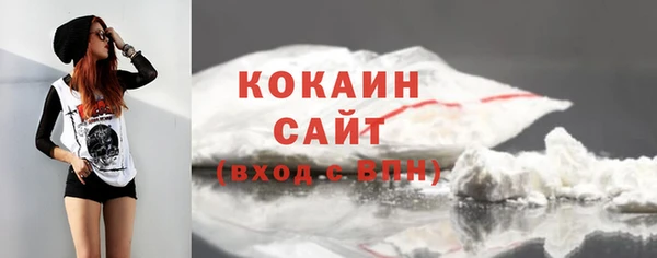 первитин Гусев