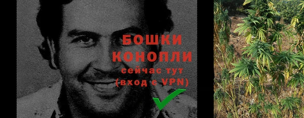 молекула духа Гусиноозёрск