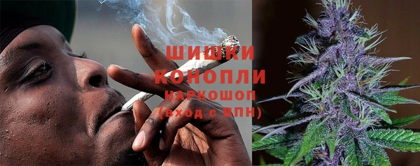молекула духа Гусиноозёрск