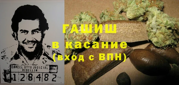 первитин Гусев