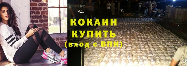 молекула духа Гусиноозёрск