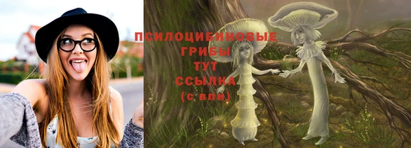 первитин Гусев