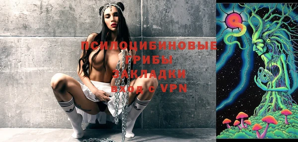 дмт Гусь-Хрустальный